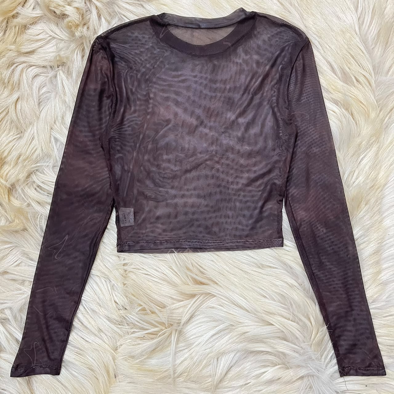 Sheer Mesh Long-Sleeve Top