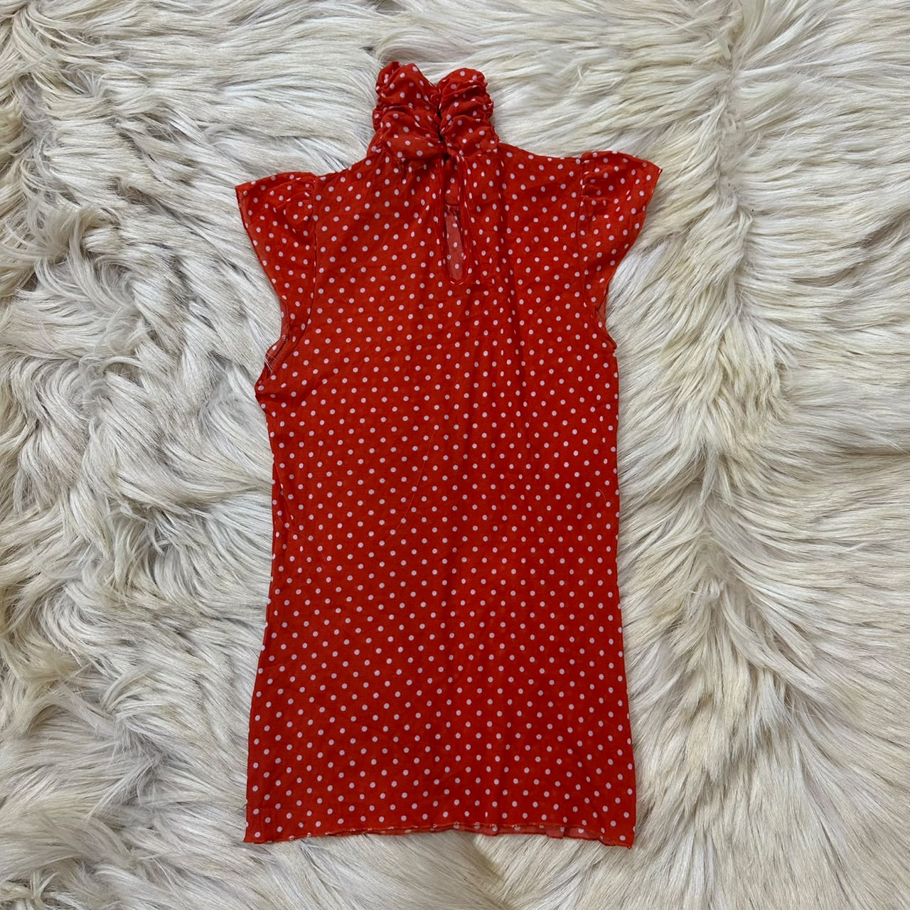 Mesh Polka Dot Top